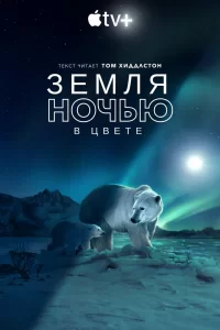 Земля ночью в цвете (2020) смотреть онлайн